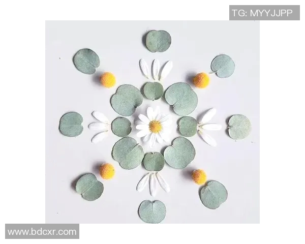 PEL花花的魅力与创意探索：让生活更精彩的花艺艺术之旅